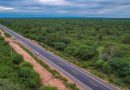 CARRETERA VILLA MONTES – LA VERTIENTE – PALO MARCADO